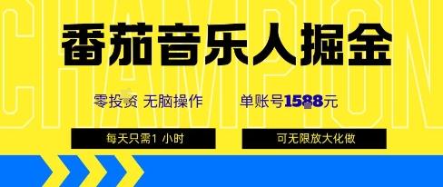 番茄音乐人掘金，单账号最高可撸1k+，可无限矩阵去做，零投入-涛哥资源
