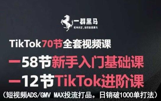 TikTok全套视频课，新手入门+进阶课，短视频ADS-GMV MAX投流打品，日销破1000单打法-涛哥资源