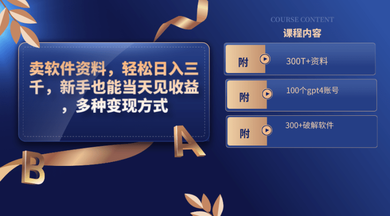 （8582期）卖软件资料，轻松日入三千，新手也能当天见收益，多种变现方式，（附300…-涛哥资源