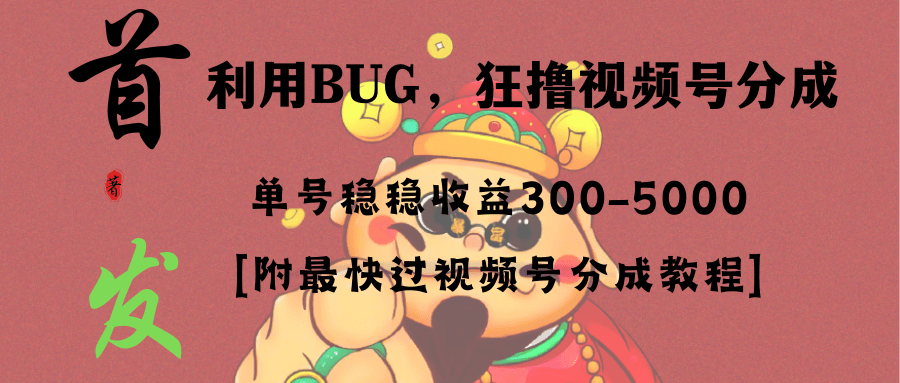 （8549期）全网独家首发，视频号BUG，超短期项目，单号每日净收益300-5000！-涛哥资源