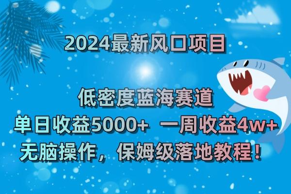 图片[2]-（8545期）2024最新风口项目 低密度蓝海赛道，日收益5000+周收益4w+ 无脑操作，保…-涛哥资源