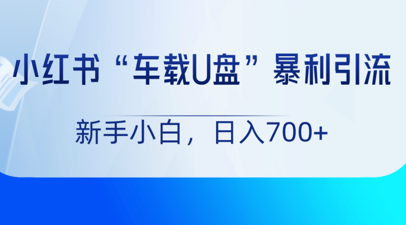 小红书“车载U盘”项目,暴利引流,新手小白轻松日入700+-涛哥资源