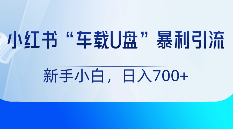小红书“车载U盘”项目，暴利引流，新手小白轻松日入700+-涛哥资源