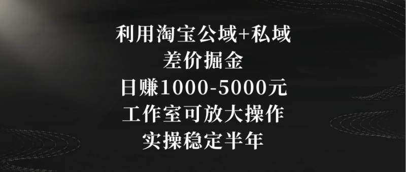 利用淘宝公域+私域差价掘金,日赚1000-5000元,工作室可放大操作,实操…-涛哥资源