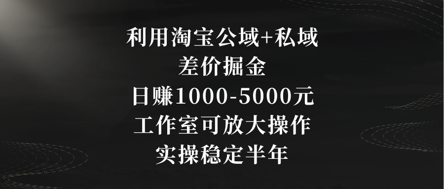 利用淘宝公域+私域差价掘金，日赚1000-5000元，工作室可放大操作，实操…-涛哥资源