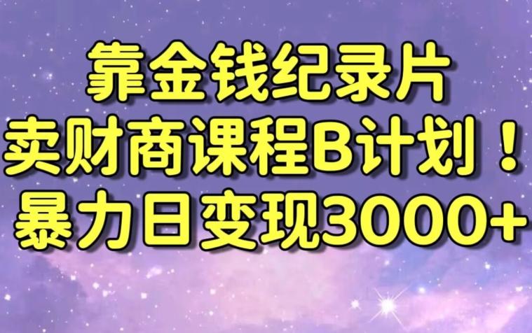 财经纪录片联合财商课程的变现策略，暴力日变现3000+，喂饭级别教学-涛哥资源