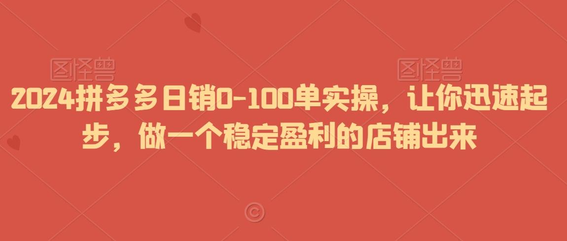 2024拼多多日销0-100单实操，让你迅速起步，做一个稳定盈利的店铺出来-涛哥资源