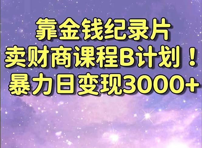 靠金钱纪录片卖财商课程B计划！暴力日变现3000+，喂饭式干货教程！-涛哥资源