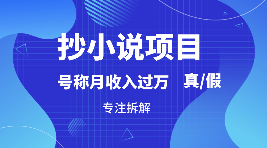 抄小说项目，号称月入过万，到底是否真实，能不能做，详细拆解-涛哥资源