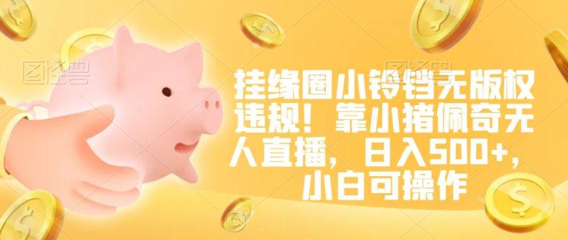 挂缘圈小铃铛无版权违规！靠小猪佩奇无人直播，日入500+，小白可操作-涛哥资源