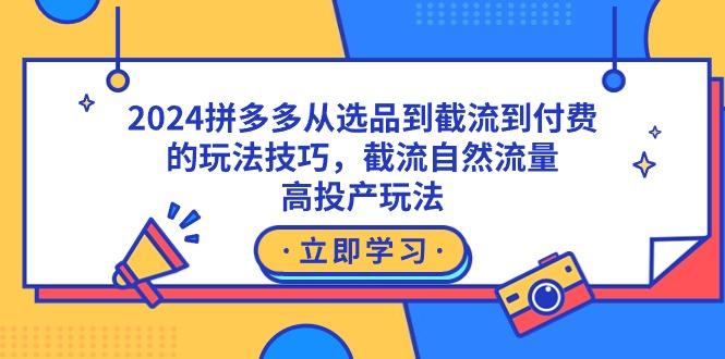 2024拼多多从选品到截流到付费的玩法技巧，截流自然流量玩法，高投产玩法-涛哥资源