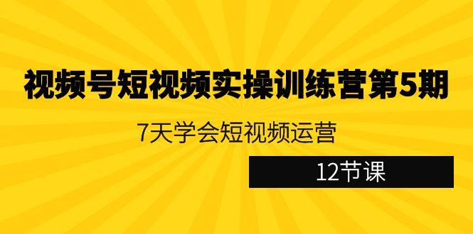 视频号短视频实操训练营第5期:7天学会短视频运营(12节课)-涛哥资源