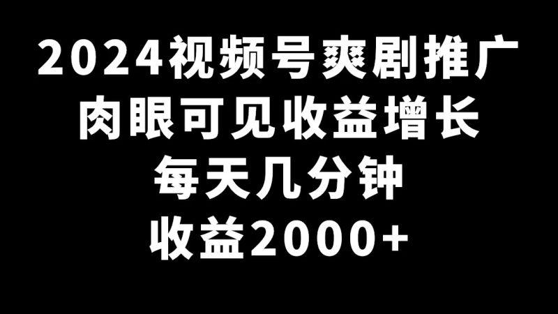 2024视频号爽剧推广，肉眼可见的收益增长，每天几分钟收益2000+-涛哥资源