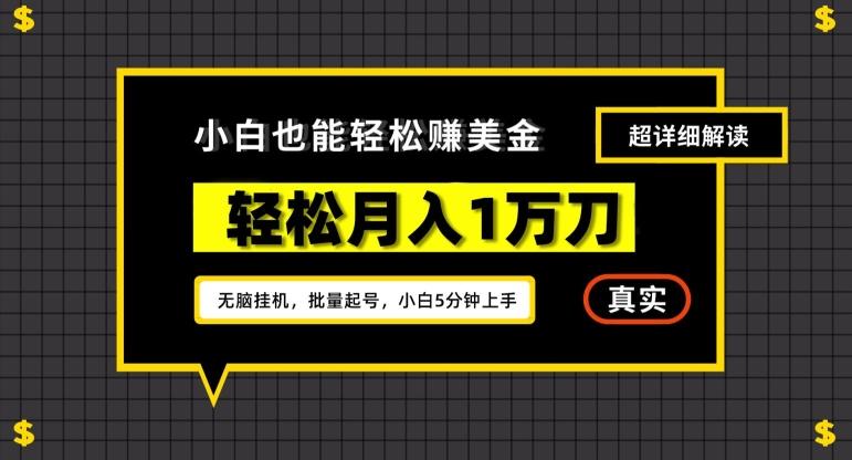 谷歌看广告撸美金2.0，无脑挂机，多号操作，月入1万刀-涛哥资源