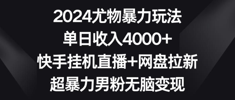 2024尤物暴力玩法 单日收入4000+快手挂机直播+网盘拉新 超暴力男粉无脑变现-涛哥资源