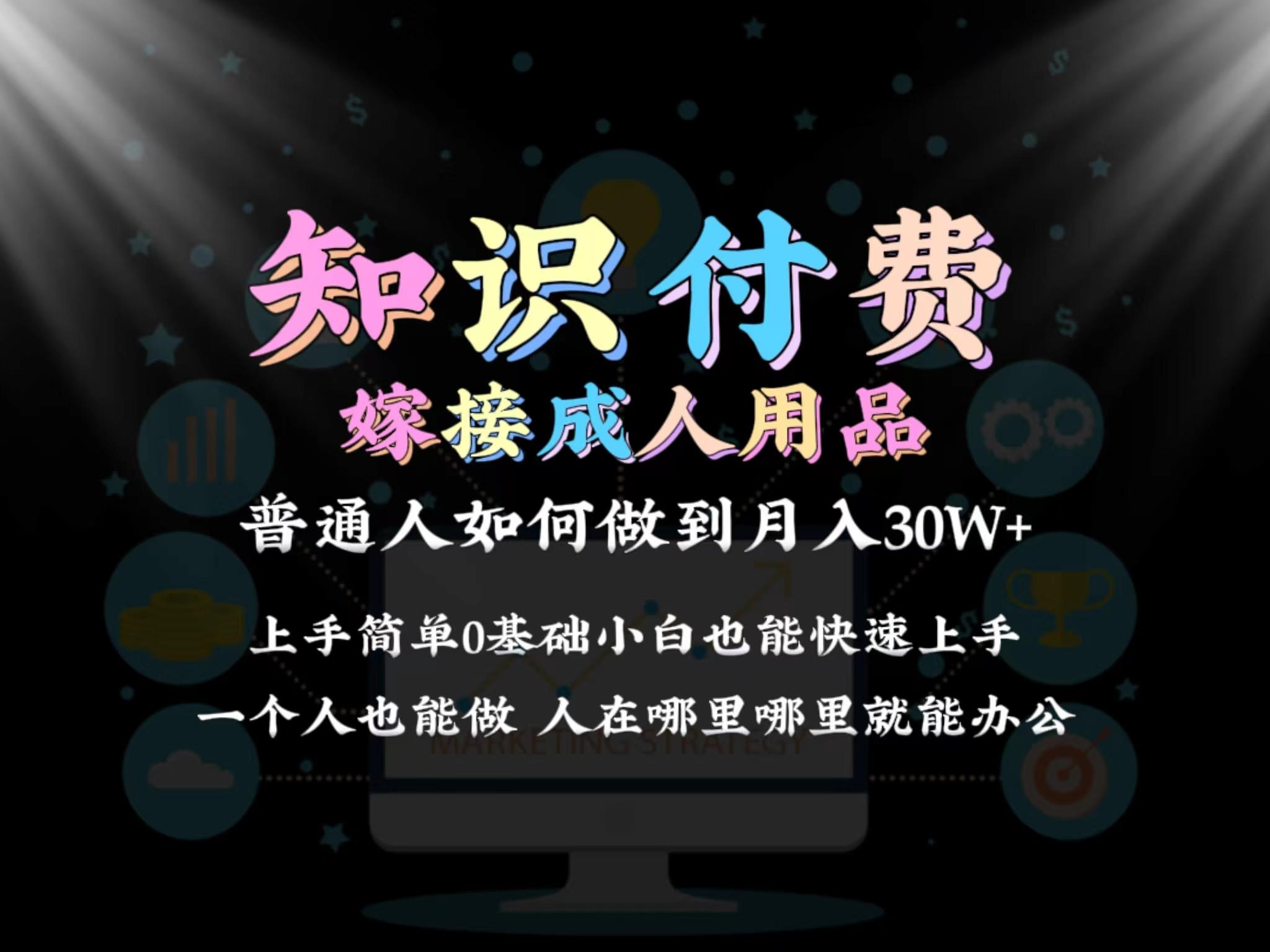 2024普通人做知识付费结合成人用品如何实现单月变现30w➕保姆教学1.0-涛哥资源