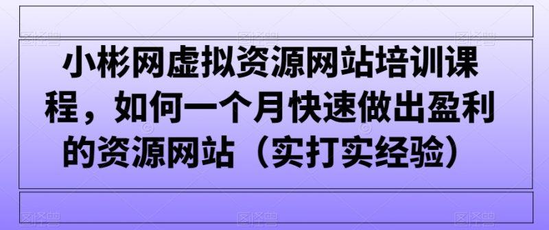 小彬网虚拟资源网站培训课程，如何一个月快速做出盈利的资源网站（实打实经验）-涛哥资源