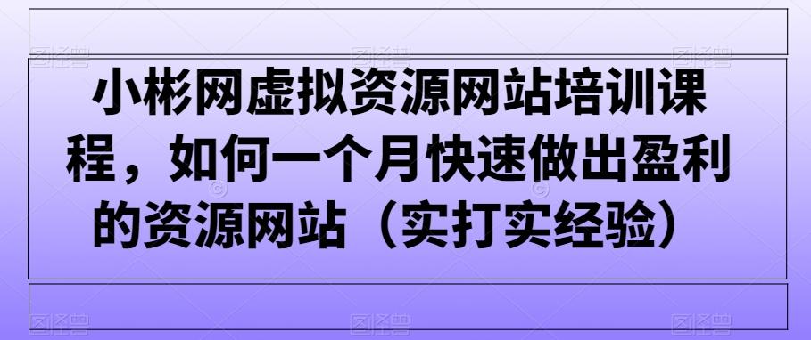 小彬网虚拟资源网站培训课程，如何一个月快速做出盈利的资源网站（实打实经验）-涛哥资源