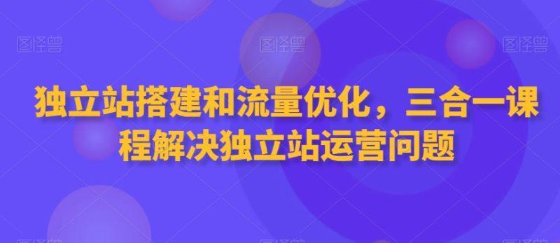 独立站搭建和流量优化,三合一课程解决独立站运营问题-涛哥资源