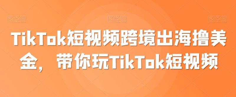 TikTok短视频跨境出海撸美金，带你玩TikTok短视频-涛哥资源
