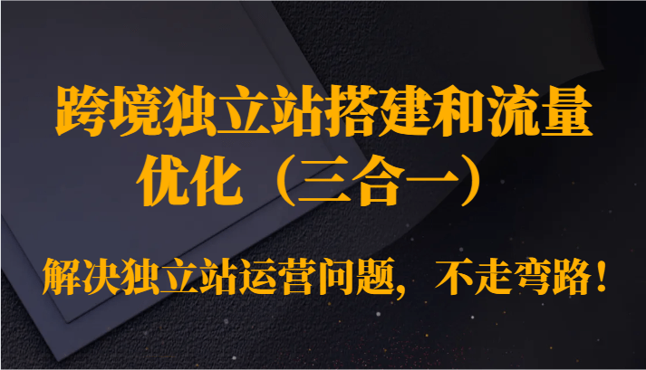 跨境独立站搭建和流量优化（三合一）解决独立站运营问题，不走弯路！-涛哥资源