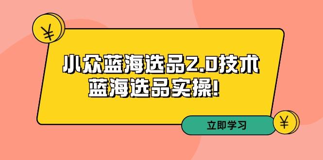 拼多多培训第33期：小众蓝海选品2.0技术-蓝海选品实操-涛哥资源