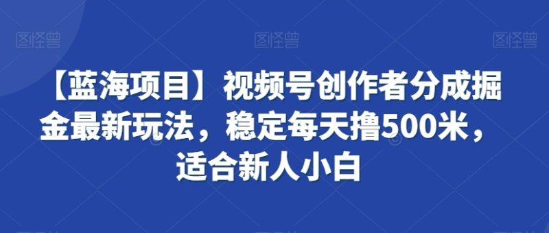 【蓝海项目】视频号创作者分成掘金最新玩法，稳定每天撸500米，适合新人小白-涛哥资源