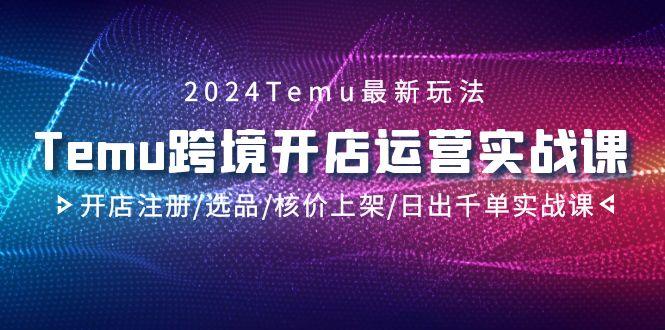2024Temu跨境开店运营实战课，开店注册/选品/核价上架/日出千单实战课-涛哥资源