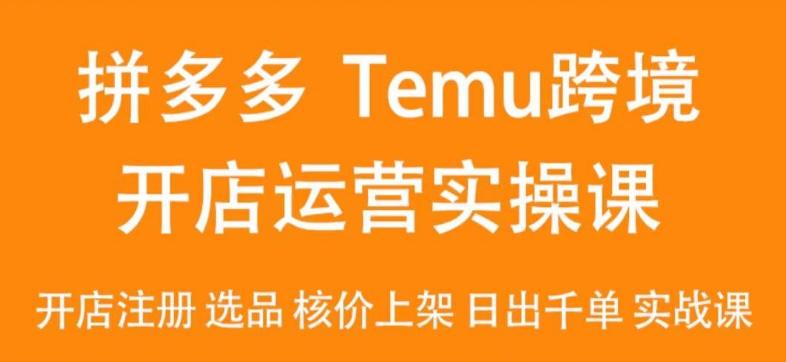 2024Temu最新玩法，Temu跨境开店运营实操课，开店注册/选品/核价上架/日出千单实战课-涛哥资源