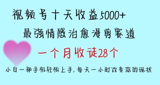 十天收益5000+，多平台捞金，视频号情感治愈漫剪，一个月收徒28个，小白一部手机轻松上手-涛哥资源