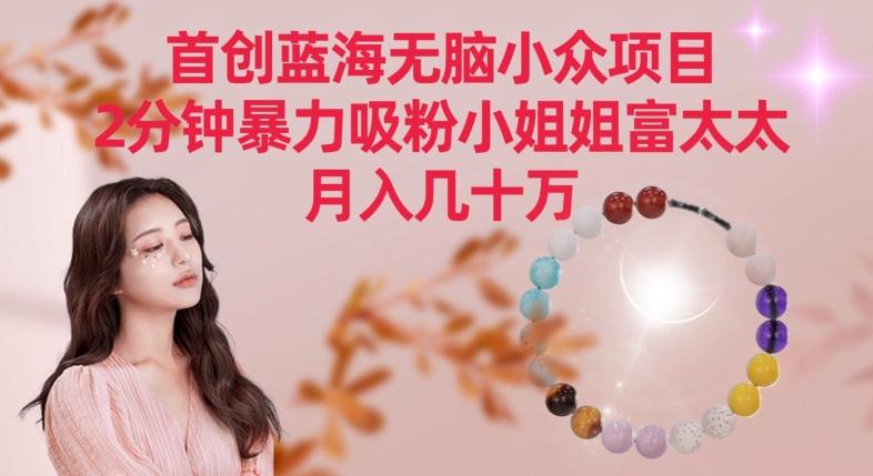 首创蓝海无脑小众项目，2分钟暴力吸粉小姐姐富太太，月入几十万-涛哥资源
