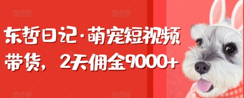 东哲日记·萌宠短视频带货，2天佣金9000+-涛哥资源