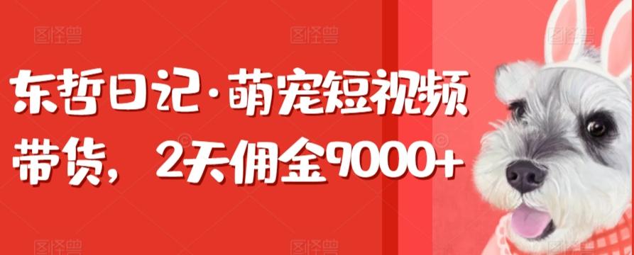 东哲日记·萌宠短视频带货，2天佣金9000+-涛哥资源