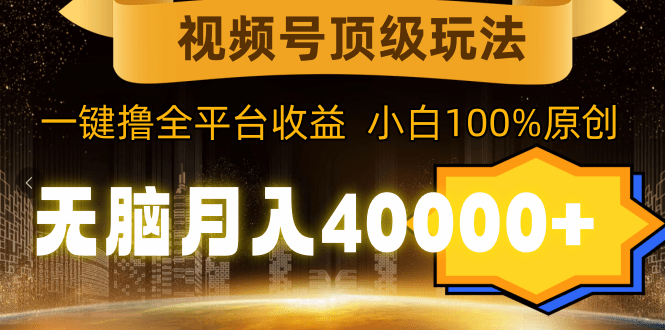 视频号顶级玩法，无脑月入40000+，一键撸全平台收益，纯小白也能100%原创-涛哥资源