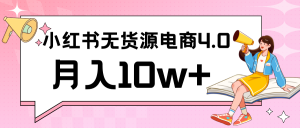 小红书新电商实战 无货源实操从0到1月入10w+ 联合抖音放大收益-涛哥资源