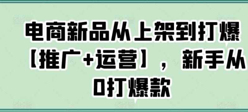 电商新品从上架到打爆【推广+运营】，新手从0打爆款-涛哥资源