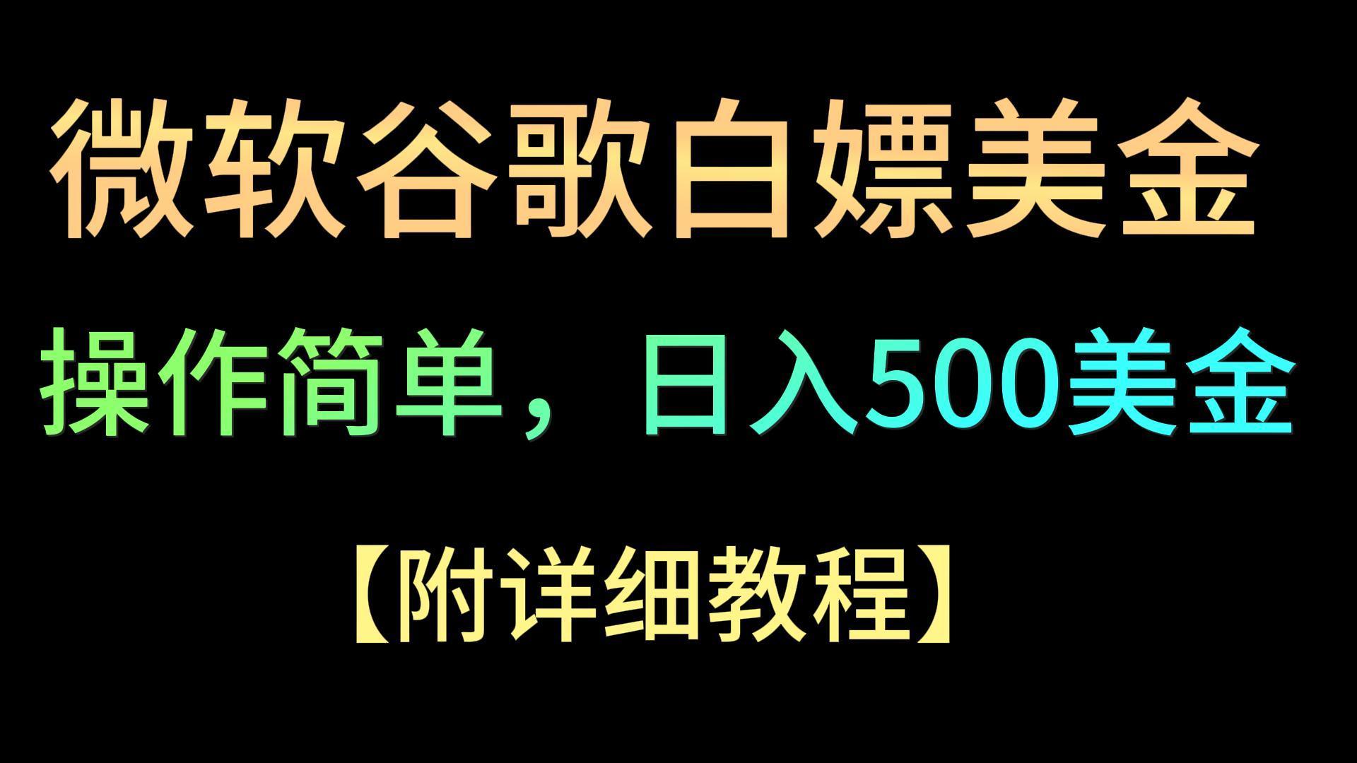 微软谷歌项目3.0，轻松日赚500+美金，操作简单，小白也可轻松入手！-涛哥资源