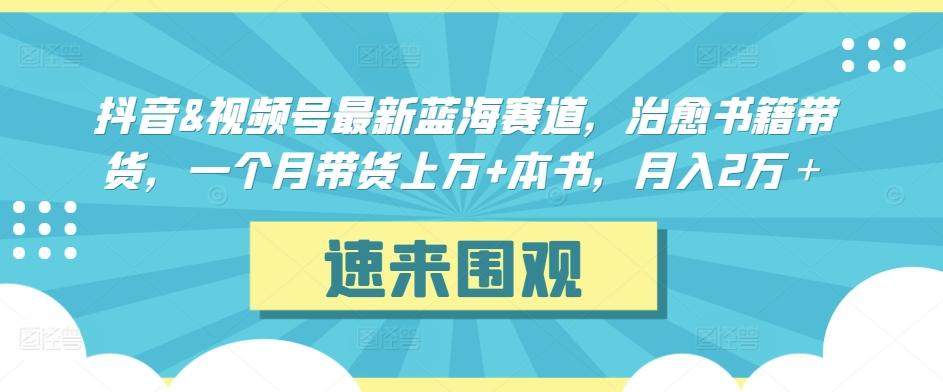 抖音&视频号最新蓝海赛道，治愈书籍带货，一个月带货上万+本书，月入2万＋-涛哥资源