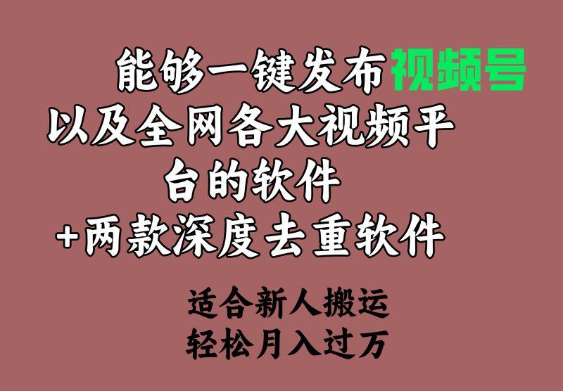 能够一键发布视频号以及全网各大视频平台的软件+两款深度去重软件 适合…-涛哥资源