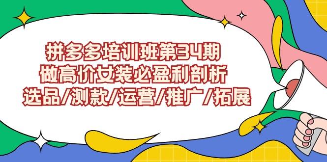 拼多多培训班第34期：做高价女装必盈利剖析  选品/测款/运营/推广/拓展-涛哥资源