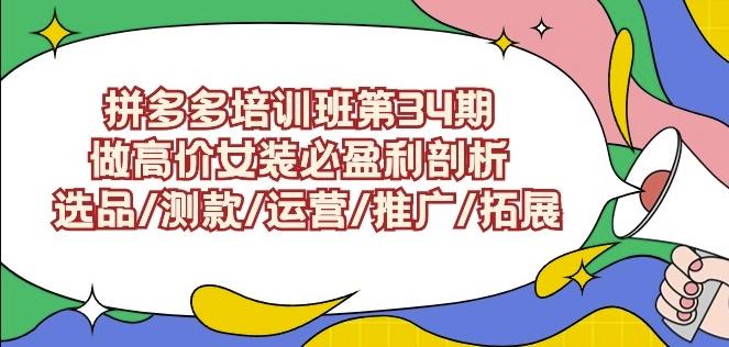 拼多多培训班第34期：做高价女装必盈利剖析选品/测款/运营/推广/拓展-涛哥资源
