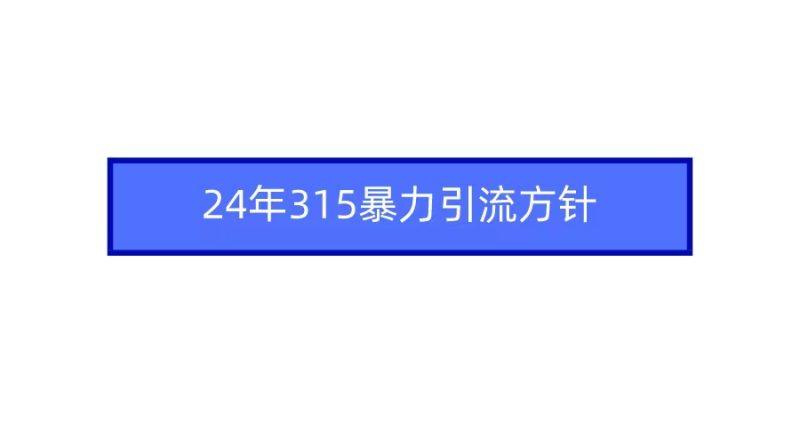 2024年315暴力引流方针-涛哥资源