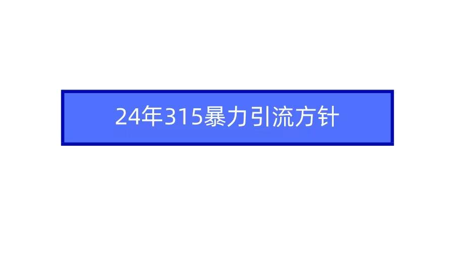 2024年315暴力引流方针-涛哥资源