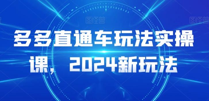 多多直通车玩法实操课，2024新玩法-涛哥资源