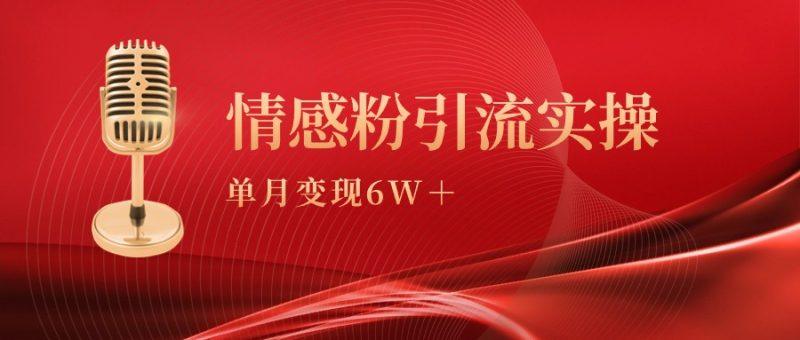 单月变现6w+，情感粉引流变现实操课-涛哥资源