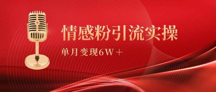 单月变现6w+，情感粉引流变现实操课-涛哥资源