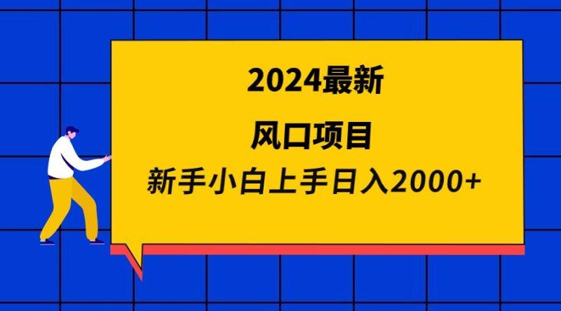 2024最新风口项目 新手小白日入2000+-涛哥资源