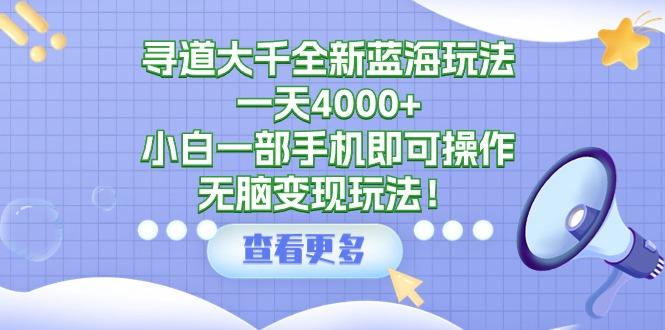 寻道大千全新蓝海玩法,一天4000+,小白一部手机即可操作,无脑变现玩法!-涛哥资源