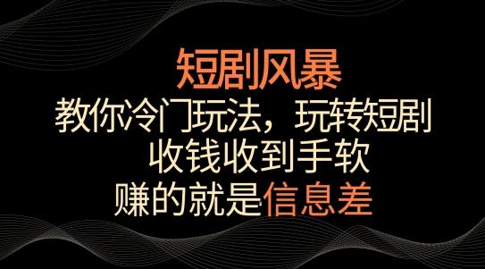 短剧风暴,教你冷门玩法,玩转短剧,收钱收到手软-涛哥资源