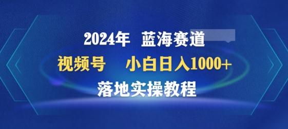 2024年视频号蓝海赛道百家讲坛,小白日入1000+,落地实操教程-涛哥资源